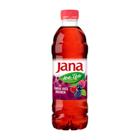 Jana Eistee Waldfrucht 500 ml Thumbnail 1