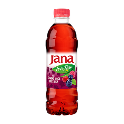 Jana Eistee Waldfrucht 500 ml
