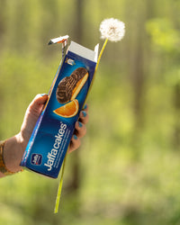 Jaffacakes 105g JAFFA Thumbnail 2