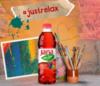 Jana Eistee Waldfrucht 500 ml Thumbnail 4